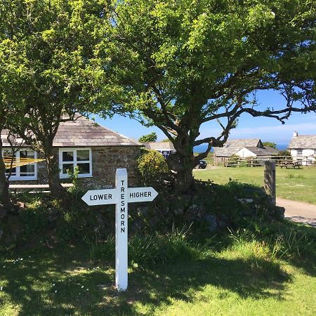 Bed and Breakfast Higher Tresmorn Farm Crackington Haven Exteriér fotografie