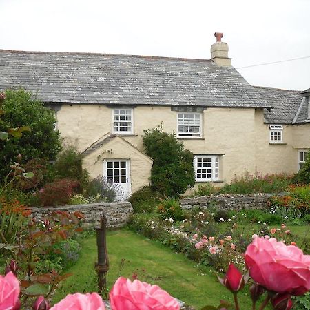 Bed and Breakfast Higher Tresmorn Farm Crackington Haven Exteriér fotografie