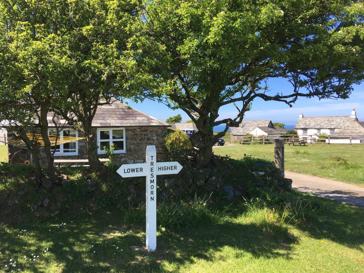 Bed and Breakfast Higher Tresmorn Farm Crackington Haven Exteriér fotografie