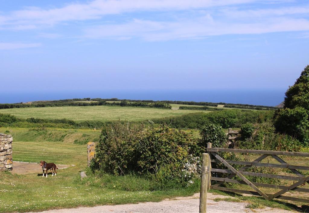 Bed and Breakfast Higher Tresmorn Farm Crackington Haven Exteriér fotografie
