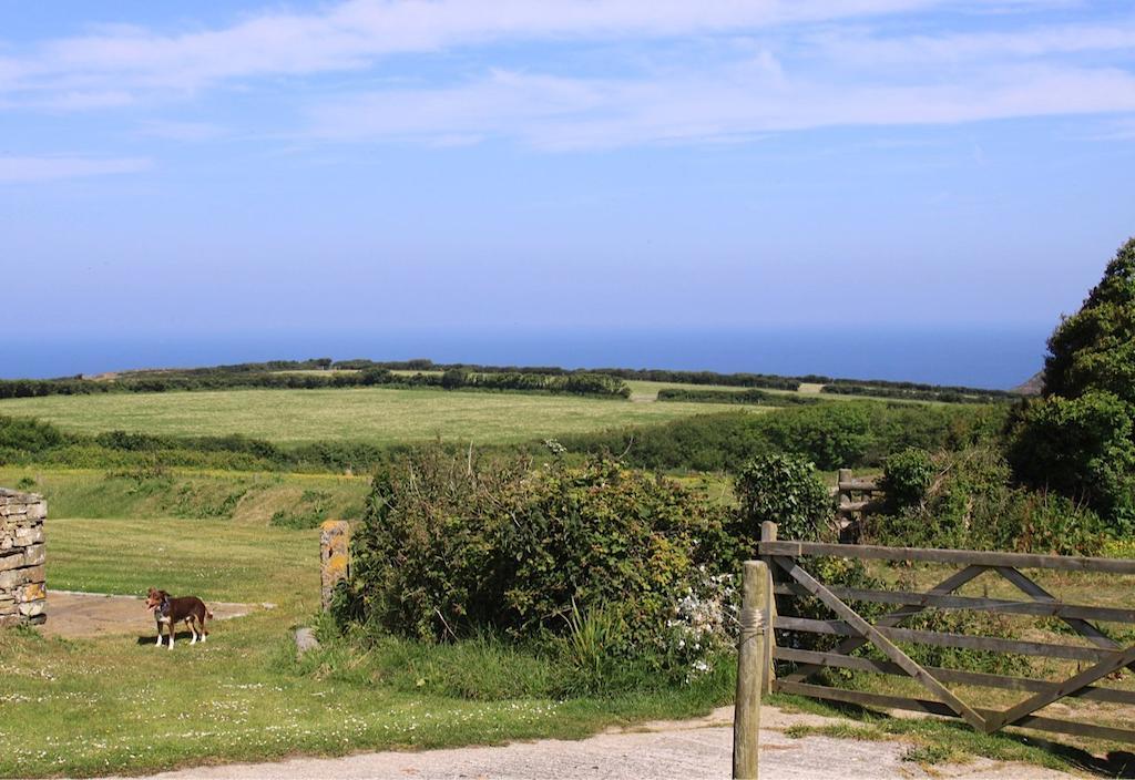 Higher Tresmorn Farm Crackington Haven Exteriér fotografie