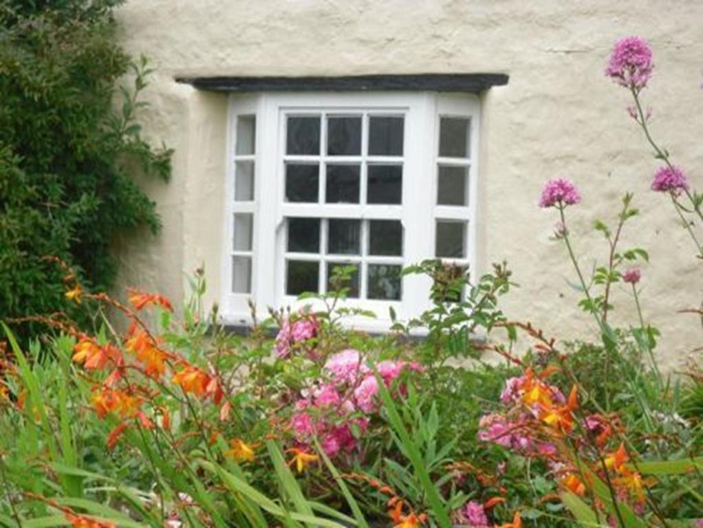 Bed and Breakfast Higher Tresmorn Farm Crackington Haven Exteriér fotografie